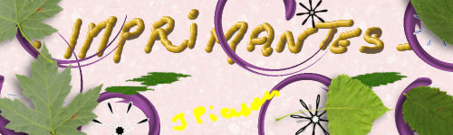 logobroth