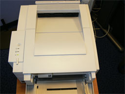 HP6P